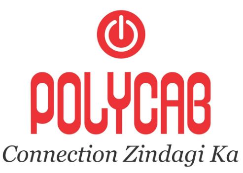 Polycab Share Price Target 2025