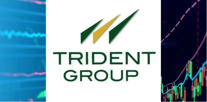 Trident Share Price Target 2025