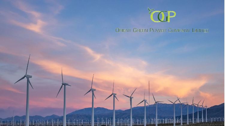 Orient Green Power Share Price Target 2025